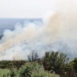 Sul Informação - Incêndio em Monchique já foi dominado (com fotos)
