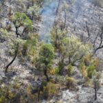Sul Informação - Fotogaleria: As impressionantes imagens do incêndio de Monchique