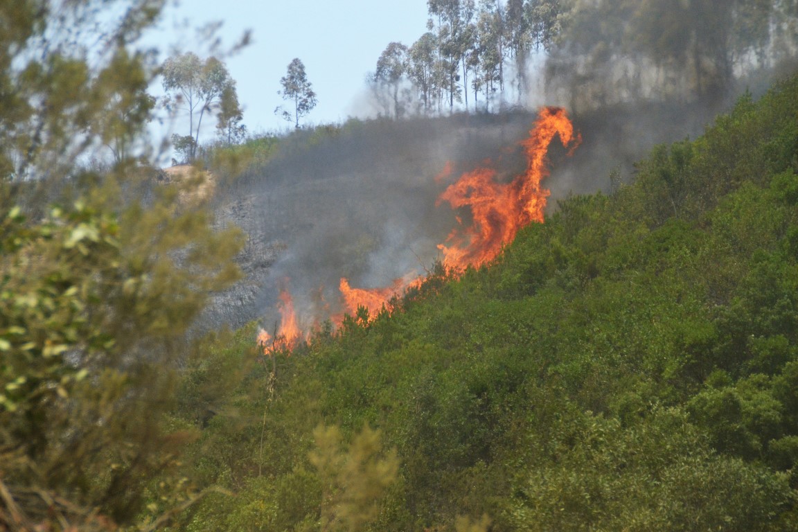 Sul Informação - Fotogaleria: As impressionantes imagens do incêndio de Monchique