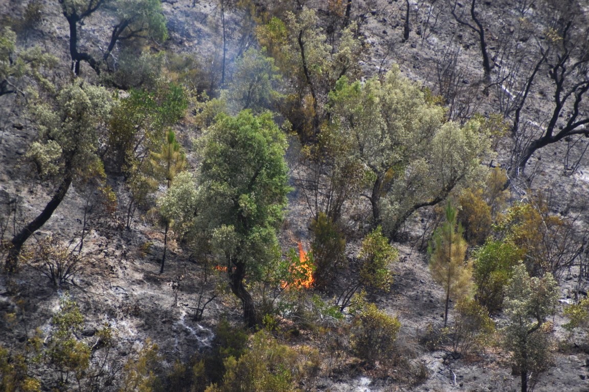 Sul Informação - Fotogaleria: As impressionantes imagens do incêndio de Monchique