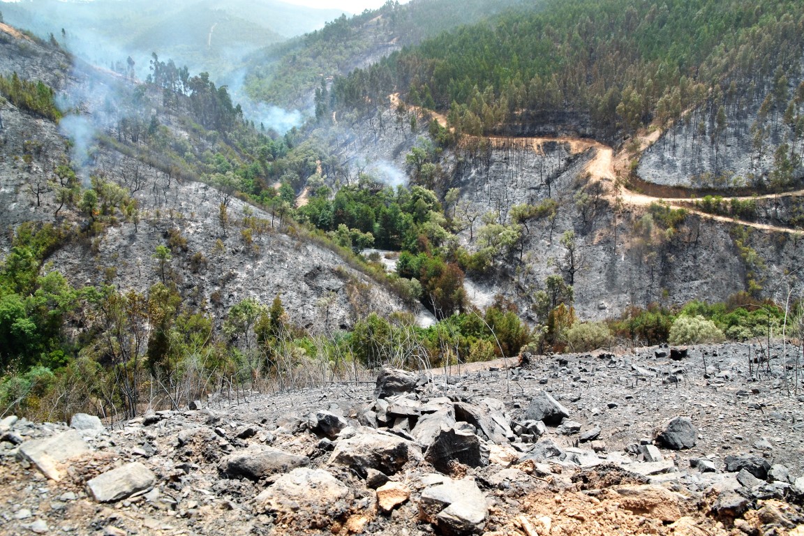 Sul Informação - Fotogaleria: As impressionantes imagens do incêndio de Monchique