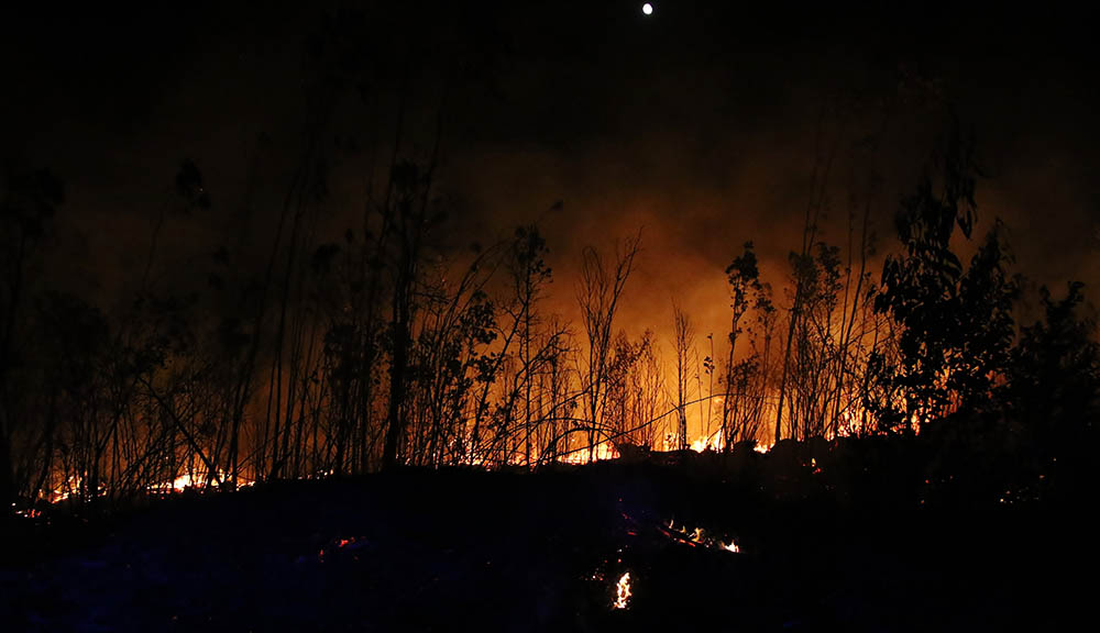 Sul Informação - Fogo entrou na vila de Monchique, arde tudo nas Caldas de Monchique