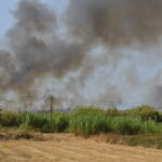 Sul Informação - A Quinta do Lago transformou-se num manto de fumo [com vídeo]