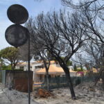 Sul Informação - Quinta do Lago quer voltar a ser paraíso depois do inferno do fogo