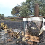 Sul Informação - Quinta do Lago quer voltar a ser paraíso depois do inferno do fogo
