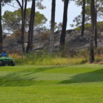 Sul Informação - Quinta do Lago quer voltar a ser paraíso depois do inferno do fogo