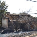Sul Informação - Quinta do Lago quer voltar a ser paraíso depois do inferno do fogo