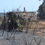 Sul Informação - Quinta do Lago quer voltar a ser paraíso depois do inferno do fogo