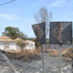 Sul Informação - Quinta do Lago quer voltar a ser paraíso depois do inferno do fogo