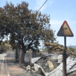 Sul Informação - Quinta do Lago quer voltar a ser paraíso depois do inferno do fogo