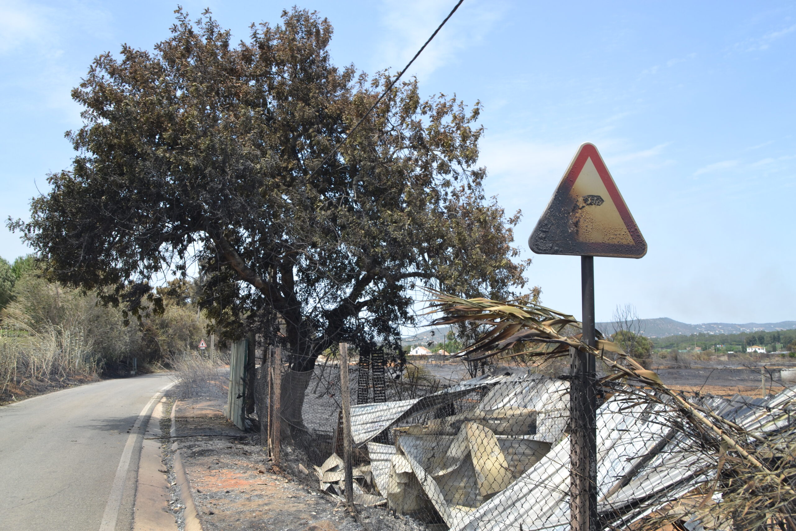Sul Informação - Quinta do Lago quer voltar a ser paraíso depois do inferno do fogo