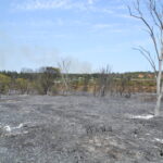 Sul Informação - Quinta do Lago quer voltar a ser paraíso depois do inferno do fogo