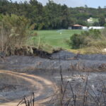 Sul Informação - Quinta do Lago quer voltar a ser paraíso depois do inferno do fogo
