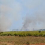 Sul Informação - Incêndio está a lavrar na zona do Rio Seco à entrada da cidade de Faro