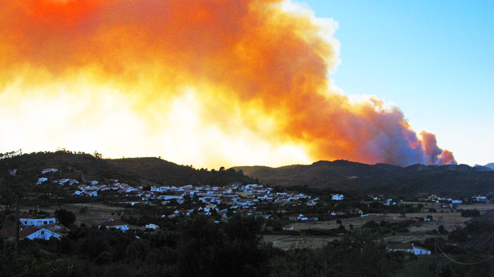 Sul Informação - Incêndios: quando a natureza dá mais uma oportunidade ao homem