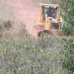 Sul Informação - Agentes de Proteção Civil do Algarve aprendem a usar máquinas de rasto para combater incêndios