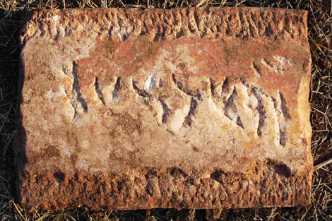 Sul Informação - Mais antigo achado arqueológico judaico da Península Ibérica encontrado perto de Messines