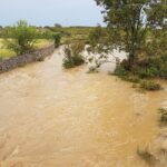 Sul Informação - Chuva forte e granizo provocam prejuízos em Alcoutim