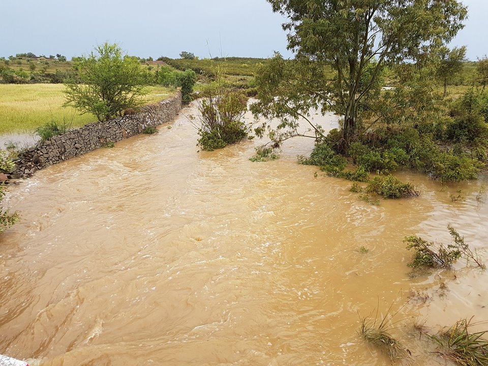 Sul Informação - Chuva forte e granizo provocam prejuízos em Alcoutim