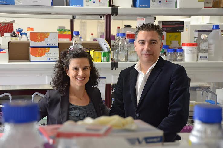 Sul Informação - Investigadores da Universidade do Algarve na área do cancro ganham prémio de 50 mil euros