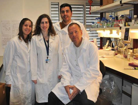 Sul Informação - Investigadores da UAlg premiados a nível internacional na área do cancro da mama e do melanoma
