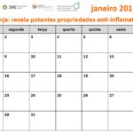 Sul Informação - Calendário quer incentivar o consumo de fruta