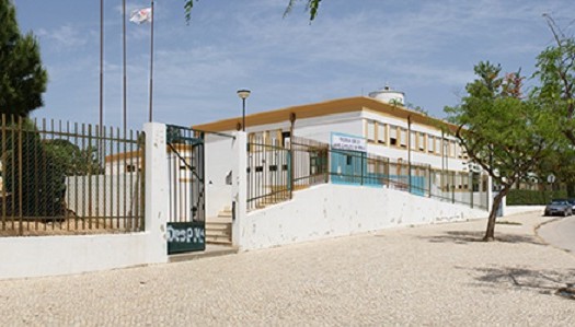 Sul Informação - Projeto “CRUSH” traz alunos estrangeiros à Escola José Carlos da Maia em Olhão