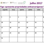 Sul Informação - Calendário quer incentivar o consumo de fruta