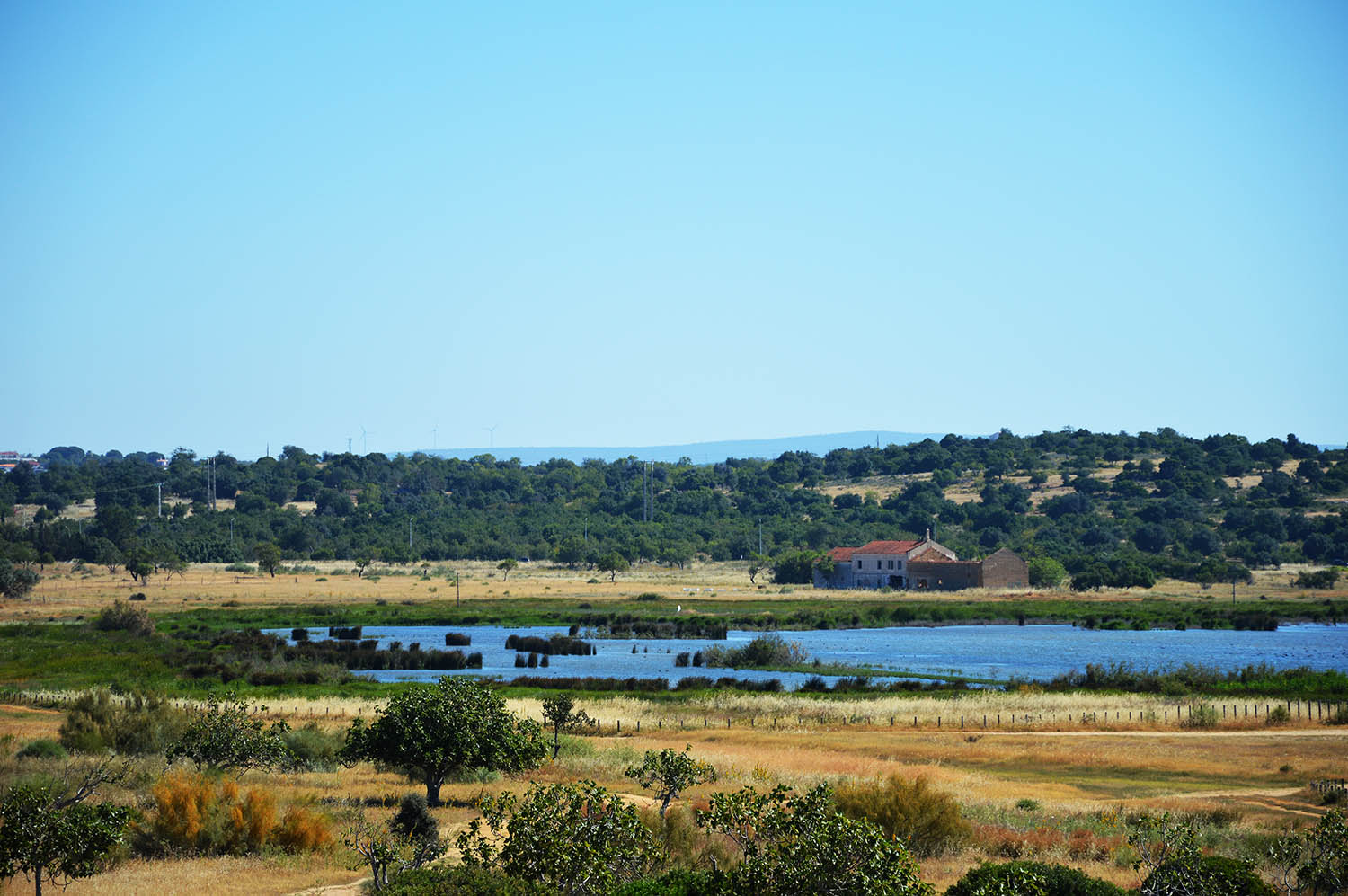 Sul Informação - Lagoa dos Salgados vai ser Reserva Natural numa «das melhores notícias dos últimos tempos»