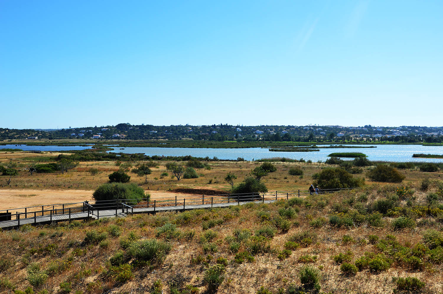 Sul Informação - Lagoa dos Salgados vai ser Reserva Natural numa «das melhores notícias dos últimos tempos»