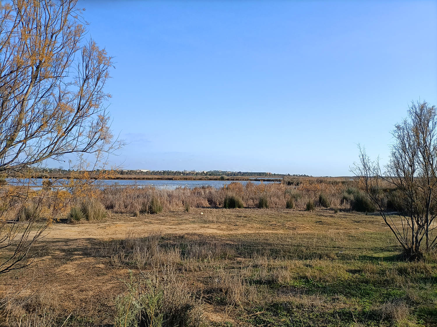 Sul Informação - CCDR Algarve recusa prorrogar prazo da consulta pública sobre mega-projeto na Lagoa dos Salgados