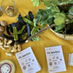 Sul Informação - Crianças e pais de Albufeira aprenderam a fazer lanches saudáveis