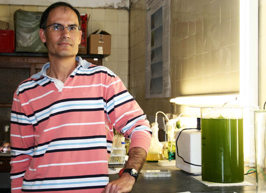 Sul Informação - Investigadores avaliam uso de algas do mar ibérico no bem-estar