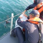 Sul Informação - Ministra do Mar acompanha libertação de 4 meros nos ilhotes do Martinhal em Sagres