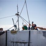 Sul Informação - Meros na costa algarvia são «atração imediata» para o turismo subaquático