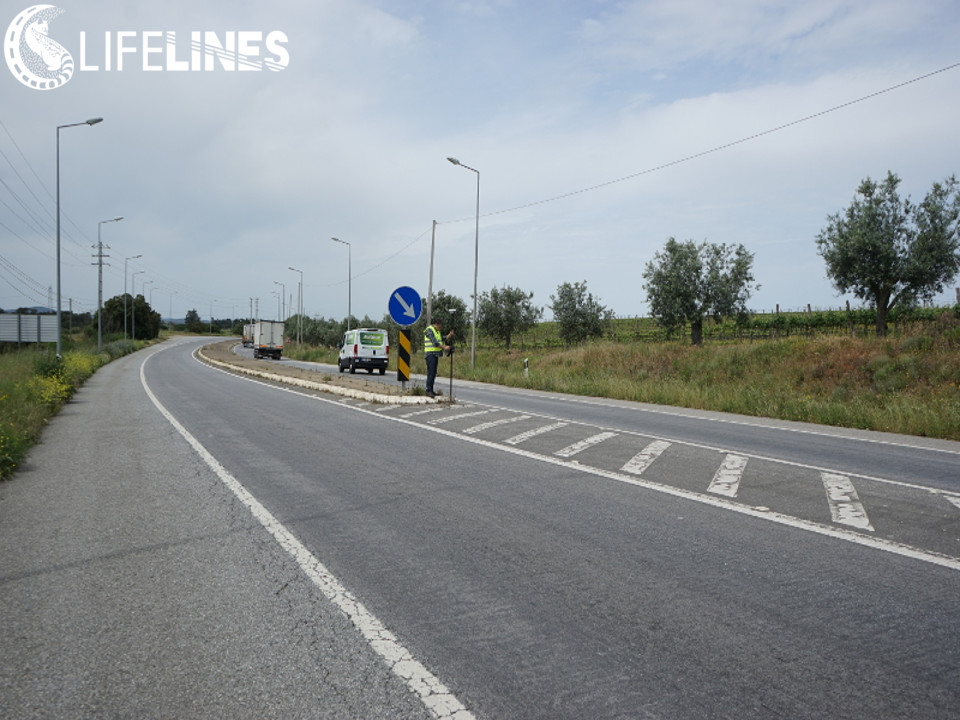 Sul Informação - Projeto LIFE Lines: Colocada vedação ao longo do IP2 em Estremoz para proteger a biodiversidade