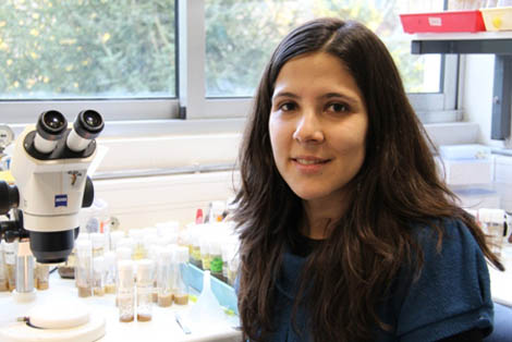 Sul Informação - Investigadora Portuguesa publica na Cell: Silenciar Genes para obter células estaminais!