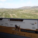 Sul Informação - Há mais um casal de linces no Vale do Guadiana