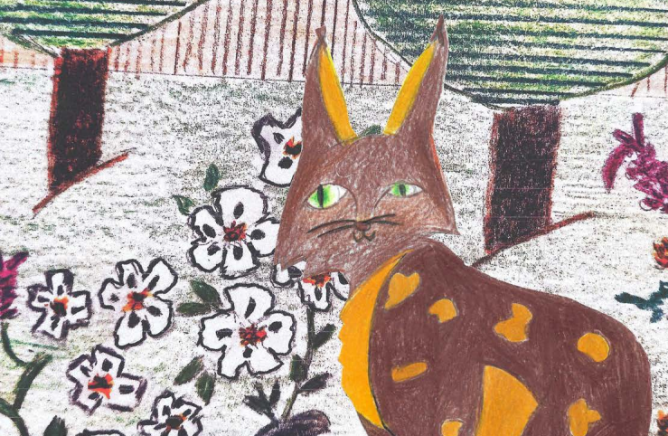 Sul Informação - Livro “A aventura do lince Leonardo” apresentado em Martim Longo