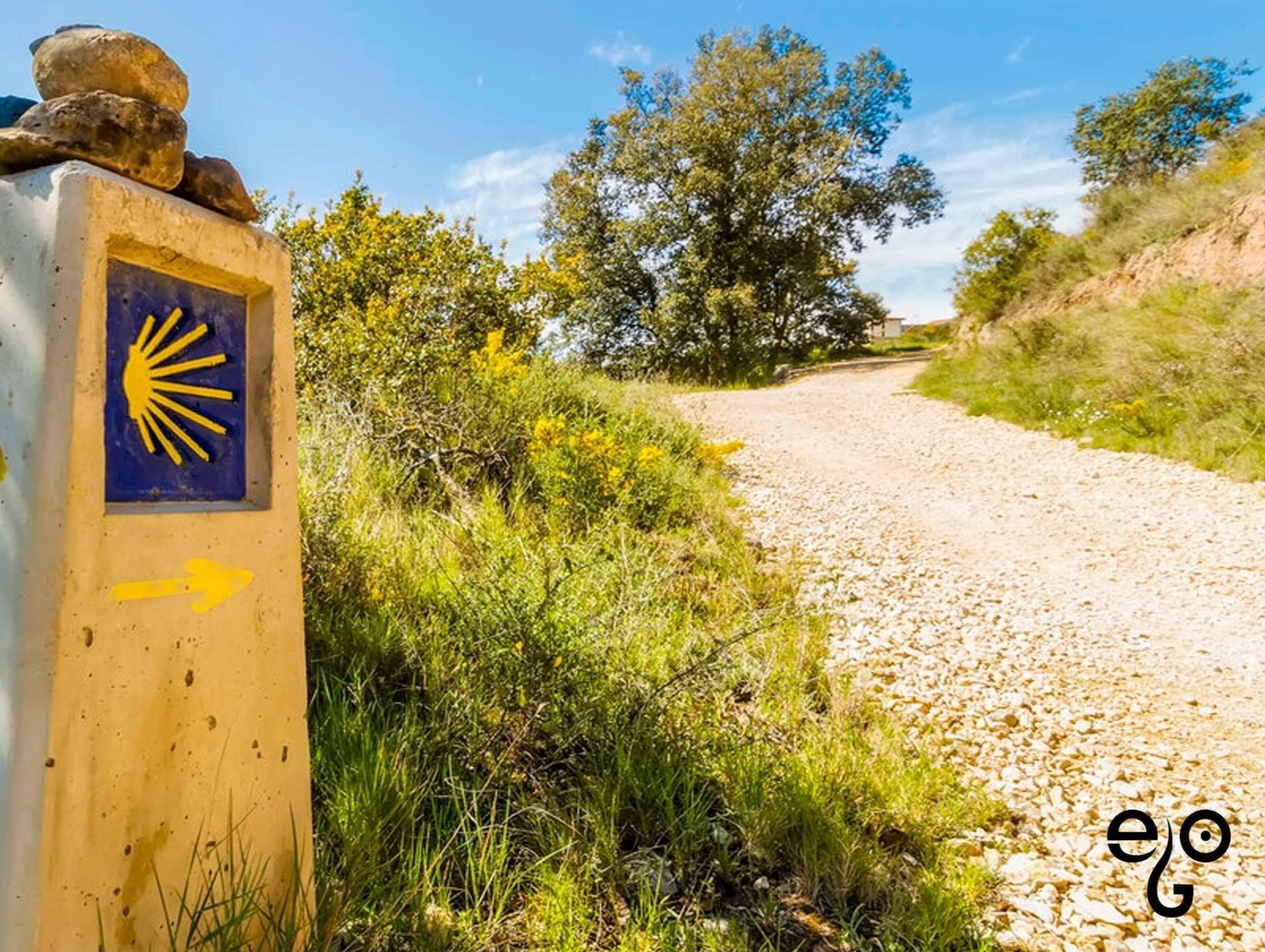 Sul Informação - Livro que conta viagem de bicicleta até Santiago de Compostela apresentado em Loulé