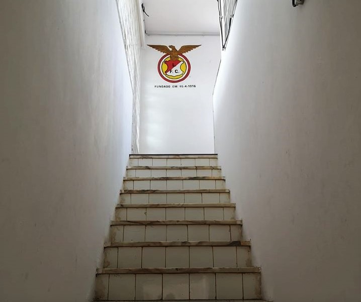 Sul Informação - Lusitano de VRSA angaria alimentos e artigos de higiene para famílias carenciadas