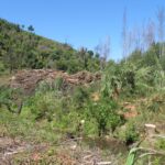 Sul Informação - Falta de solução para madeira ardida preocupa autarca e proprietários florestais de Monchique
