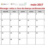 Sul Informação - Calendário quer incentivar o consumo de fruta