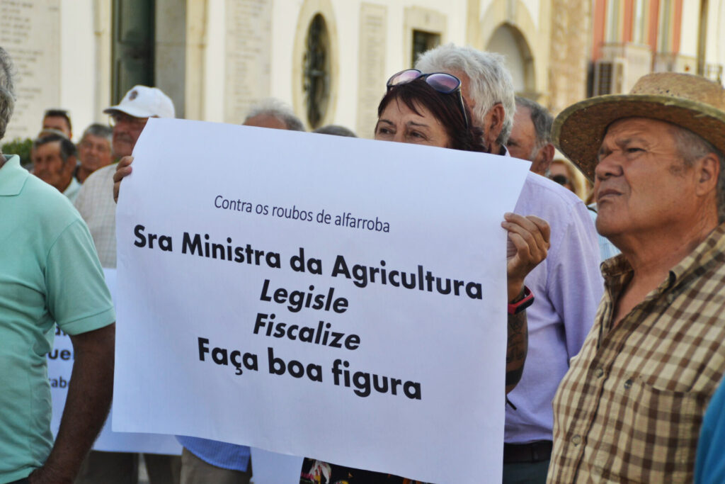 Sul Informação