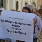 Sul Informação - Sem medidas para acabar com «roubos», produtores de alfarroba podem cortar EN125