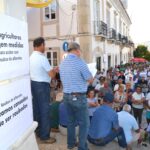 Sul Informação - Sem medidas para acabar com «roubos», produtores de alfarroba podem cortar EN125