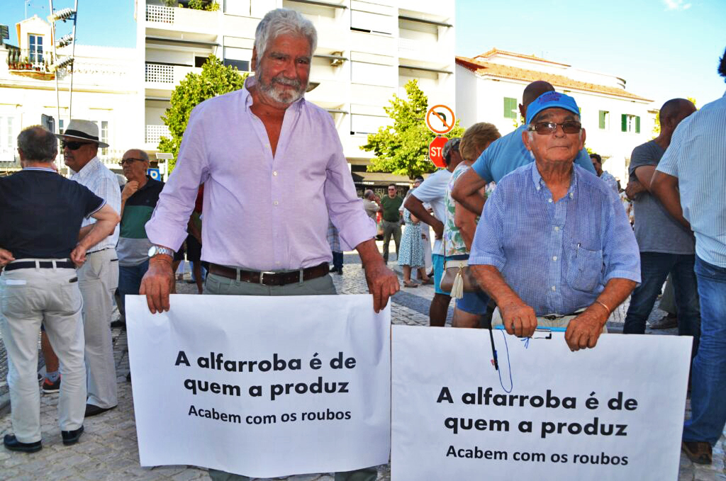 Sul Informação - Sem medidas para acabar com «roubos», produtores de alfarroba podem cortar EN125