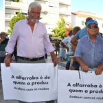 Sul Informação - Sem medidas para acabar com «roubos», produtores de alfarroba podem cortar EN125