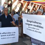 Sul Informação - Sem medidas para acabar com «roubos», produtores de alfarroba podem cortar EN125