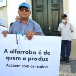 Sul Informação - Sem medidas para acabar com «roubos», produtores de alfarroba podem cortar EN125